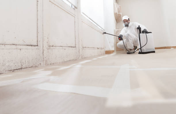 24/7 Emergency Mold Remediation experts in Zeeland, MI